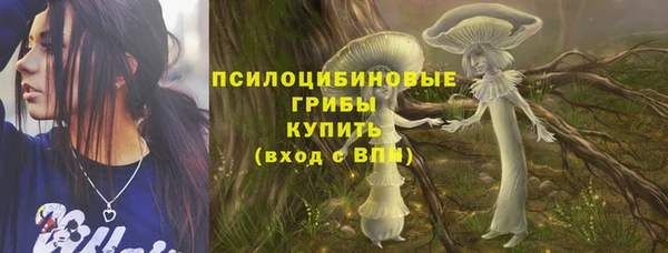 mdpv Краснотурьинск